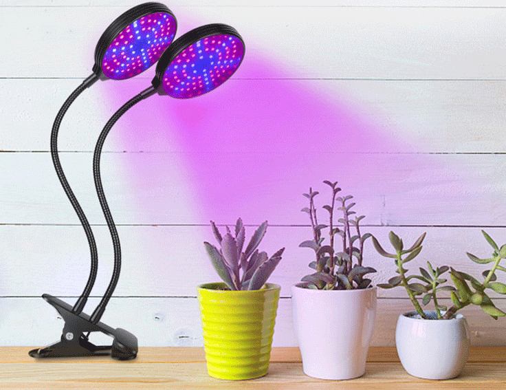 Plant Grow Light, Full Spectrum LED Growing Light for Indoor Plants