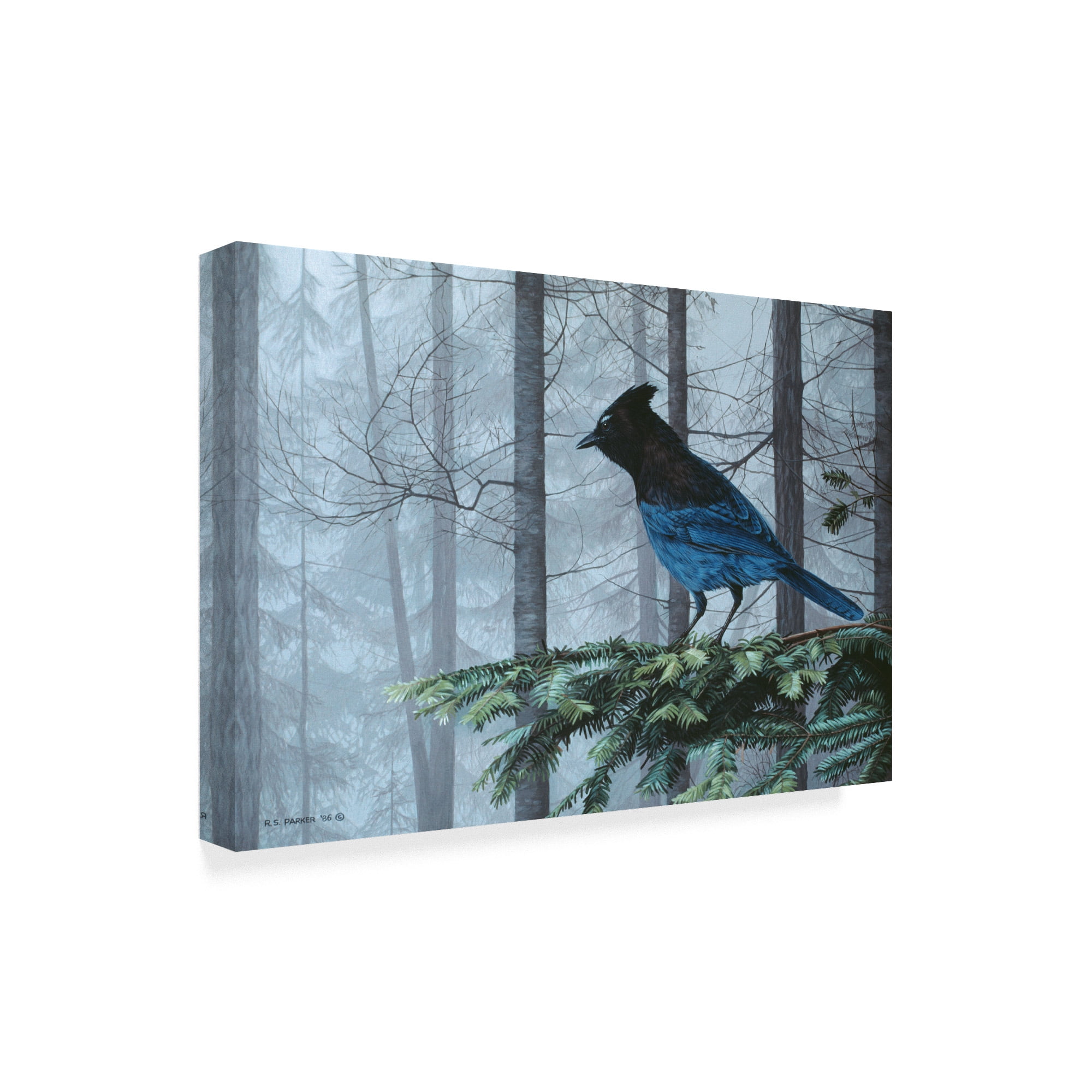 Trademark Fine Art 'Stellers Jay In Fog' Canvas Art by Ron Parker