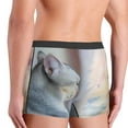 thumbnail image 5 of Disketp The Cat Looks In The Mirror Men'S Boxer Briefs,Soft And Breathable Cotton Underwear With Comfortflex Waistband, 5 of 9