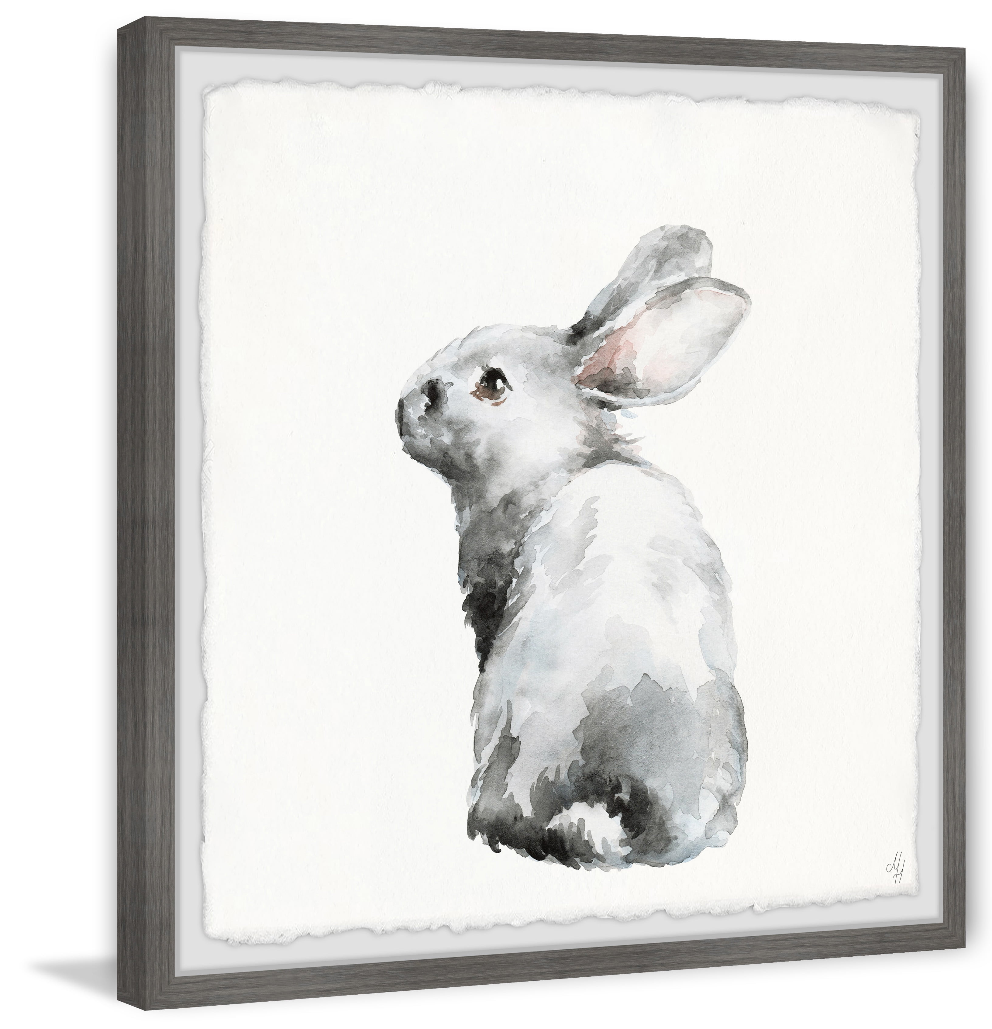 Marmont Hill Furry Bunny Framed Wall Art, 12.00" x 1.50"