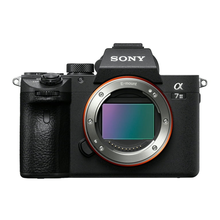  Sony a7III Full Frame Mirrorless Interchangeable Lens Camera  with 28-70mm Lens Bundle with 128GB Memory Card, Monopod, and Soft Carrying  Case for Cyber-Shot and Alpha Cameras : Electronics
