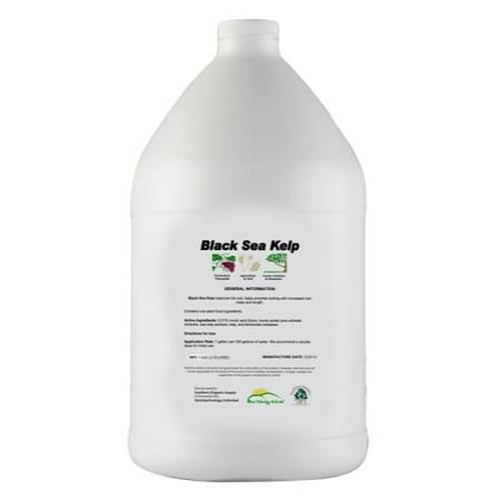 Organic Sea Kelp - VermaPlex 724220 Black Sea Kelp Organic Fertilizer, 1 gal