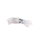 thumbnail image 5 of Realista Mar Animal Modelo Juguete Bañera Juguete Mar Animales Estatuilla Educación Figuras de acción Juguete sensorial Vida marina Juegos para niñas Estilo B Salvador Figura Animales Marinos, 5 of 10