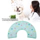 thumbnail image 2 of Adjustable Pet Anti-Bite Collar, Injury Protection for Dogs and Cats (M), 2 of 4
