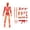 Red, variant on Christmas Full Body 13 Articulated Joints Action Figure 3D Printed Robot Dummy Doll with Versatile Weapons and Accessories for Creative DIY Display, Blue
