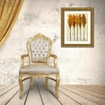 thumbnail image 3 of OToole, Tim 25x32 Gold Ornate Wood Framed with Double Matting Museum Art Print Titled - Crystal Canopy II, 3 of 4