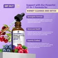 thumbnail image 4 of Kidney & Liver Support Drops - with Cranberry & Chanca Piedra Extract - Vegan - 2 Fl Oz, 4 of 6