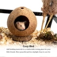 thumbnail image 3 of Methold Juguete de escondite pequeño para mascotas, nido de casa de hámster de coco para mascotas único y apto para terrarios, ideal para Hábitats y jaulas para animales pequeños, 3 of 6