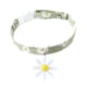thumbnail image 1 of Collar Para Mascotas Con Flores Y Frutas, Collar Con Lazo De Color Liso, Collar Para Gatos, Collar Con Cascabel Para Tu Gatito O Perrito, 1 of 4