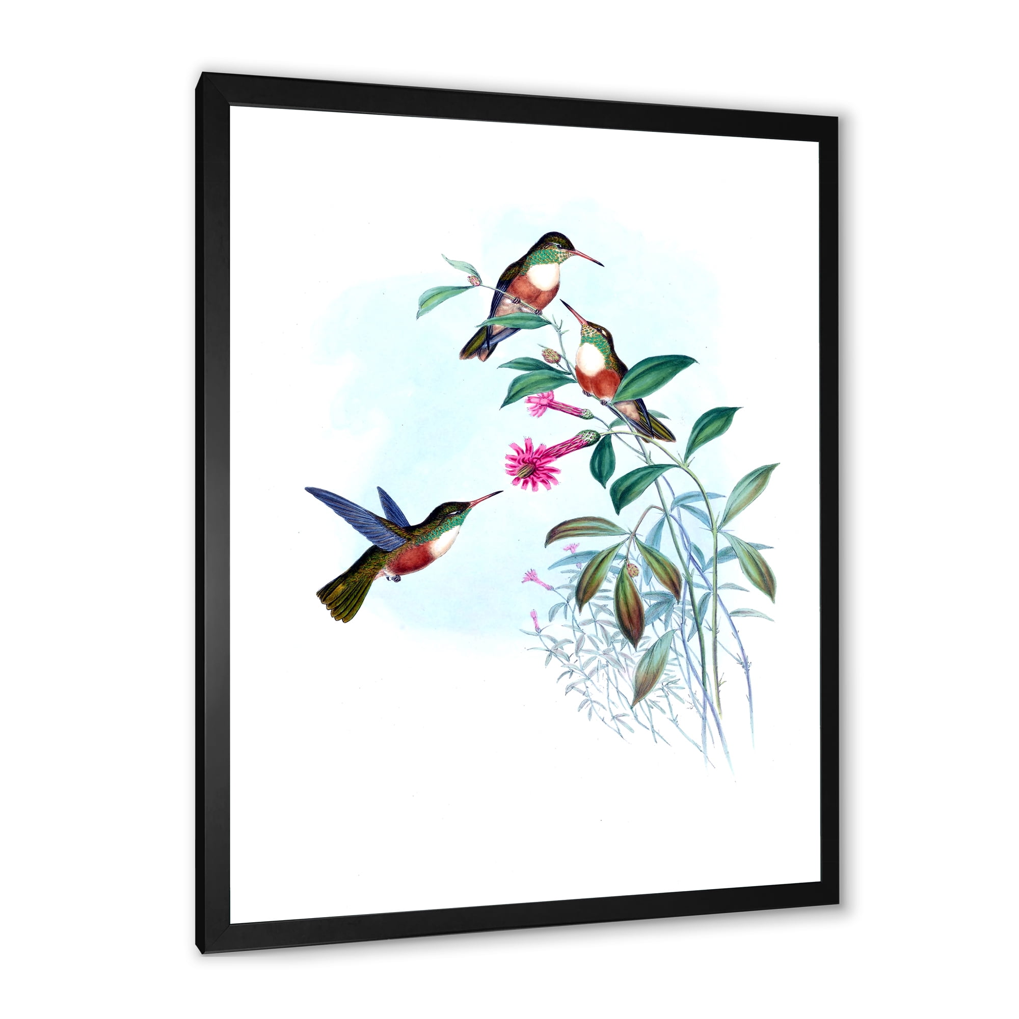 Designart 'Ancient Hummingbird IV' Traditional Framed Art Print