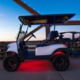 thumbnail image 2 of Extreme Strips - 2/4 Seat Cart + LED Controller, 2 of 5