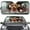 Funny Dog Animal Driving, variant on Uorisanigo Car Sunshade Foldable Funny Dog Cat Animal Driving Washable Automotive Windshield Sunshades Reflective Sun Visor Easy to Install Interior Protector Vehicle Cooler for Cars, SUVs, Trucks