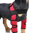 thumbnail image 4 of Pet Front Leg Compression Hock Wraps Soporte de articución de para perro S Rojo - S Yuyangstore Soporte de la rodilla del perro, 4 of 8