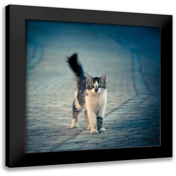 Ilijic, Dejan 12x12 Black Modern Framed Museum Art Print Titled - little one