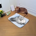 thumbnail image 6 of Pet Cooling Mat for Dogs Cats, Wear Resistant Dog Chill Pad, Washable Comfortable Pet Sleeping Rest Supplies, Waterproof Sleeping Pad, 6 of 6