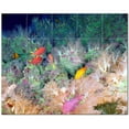 thumbnail image 1 of Sealife Picture Ceramic Tile Mural Kitchen Backsplash Bathroom Shower, 405833-S5, 1 of 3