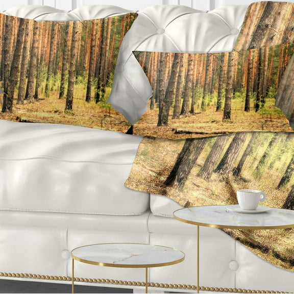 Designart Beautiful Pine Forest at Sunset - Modern Forest Throw Pillow - 12x20