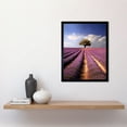 thumbnail image 2 of Lavender Field Provence France Photograph Lone Tree Beautiful Flower Purple Blooms Art Print Framed Poster Wall Decor 12x16 inch, 2 of 5