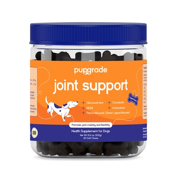 PupGrade Joint Support Soft Chews for Dogs with Perna, Glucosamine, Chondroitin, MSM - Beef Flavor, 60 Count