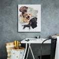 thumbnail image 4 of Epic Graffiti 'Labrador 2' by Barbara Keith, Canvas Wall Art, 20"x24", 4 of 8