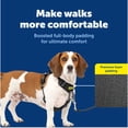 thumbnail image 3 of Arnés para perro PetSafe Easy Walk Comfort antitirones negro T/M, 3 of 8