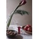 thumbnail image 4 of Swedish Stainless Steel Nutcracker - Strong & Durable - Effortlessly Cracks All Nut Sizes - Made in Sweden, 4 of 5