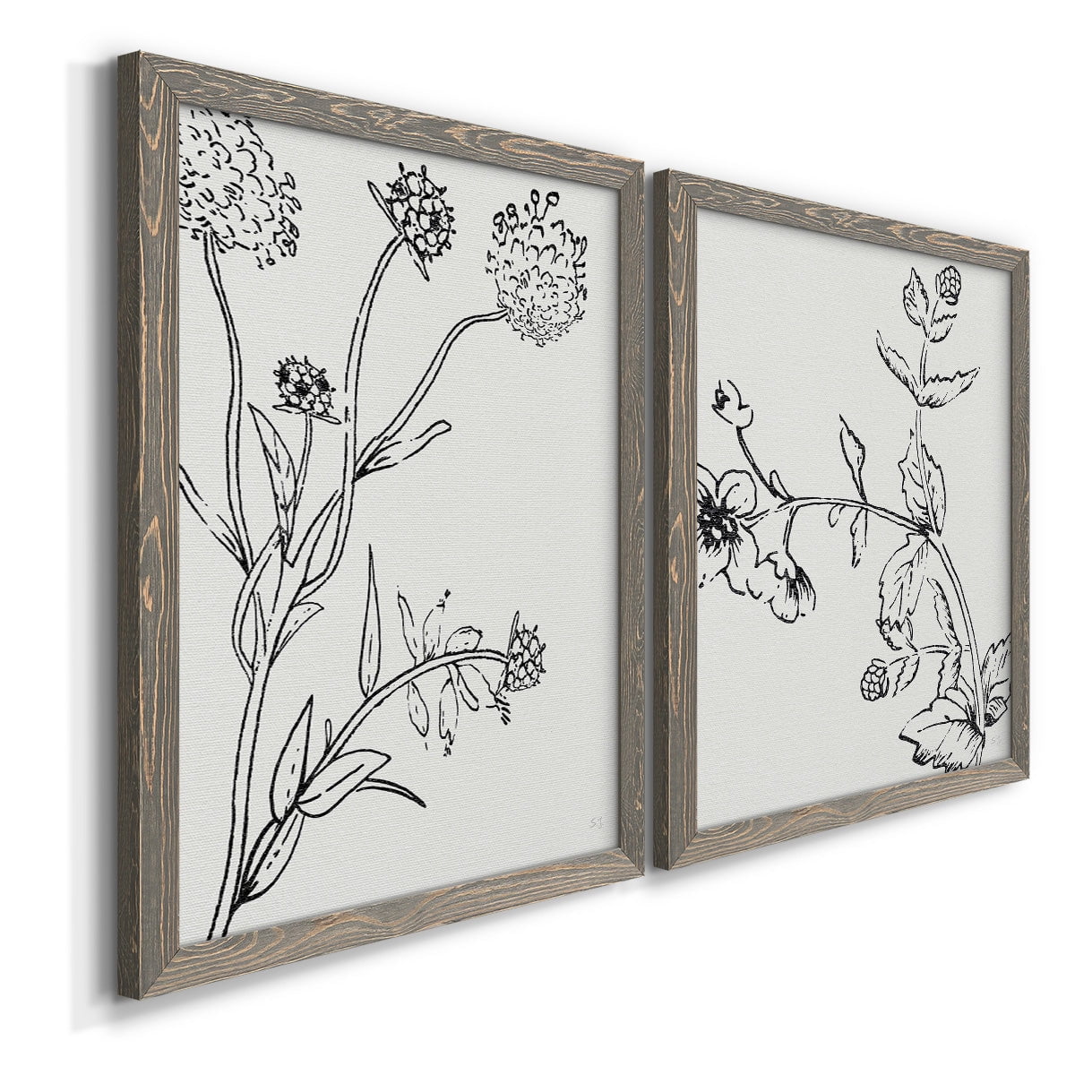 Botanical Study I - Premium Framed Canvas 2 Piece Set - Ready to Hang