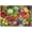 500 PCS, variant on 500 Piece Jigsaw Puzzle, Vintage Fruit Vegetable Spice Theme, Challenging Food Puzzle Interactive DIY Family Home Decor