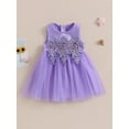 thumbnail image 2 of Bagilaanoe Toddler Baby Girls Formal Dress Sleeveless A-line Princess Dresses 6M 12M 18M 24M 3T 4T 5T Kids Lace Tulle Dress for Wedding Birthday Party Gown, 2 of 8