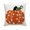 B, variant on Moocorvic Fall Decor Throw Pillow Covers Pumpkins Embroidered Decorative Velvet Cushion Covers for Sofa Bed 17.7x17.7