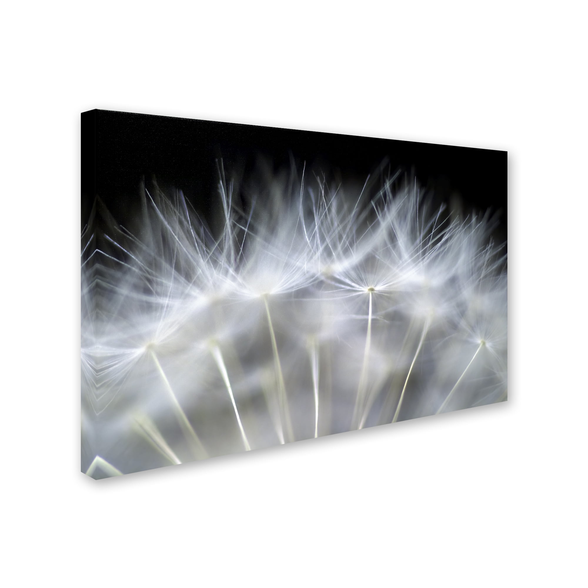 Blow It' Canvas Art by Peter Fallberg