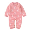 thumbnail image 1 of HNMKIU Combinaison Tricotée en Tricot à Manches Longues Printemps Automne Décontractée Confortable Douce Lapin Adorable Mignonne à la Mode Col Ras du Cou à Boutons-Pression Vêtements pour Garçon Fille Rose, 3-6 Mois, 1 of 7