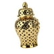 thumbnail image 2 of Tarro de jengibre de cerámica moderno, jarrón para flores, tarros de decorativos, dorado, 2 of 9