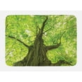 thumbnail image 1 of Forest Bath Mat, Old Big Majestic Tree Environment Countryside Eco Solidarity National Park Scenery, Non-Slip Plush Mat Bathroom Kitchen Laundry Room Decor, 29.5 X 17.5 Inches, Green Brown, Ambesonne, 1 of 2