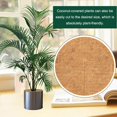 thumbnail image 4 of 4 Pieces Plant Protection Disc Canvased Coconut Mulch Hemp Mulch Coconut Mat Plants Coconut Fiber Disc Plant Protection Coconut Fiber Mat, Biodegradable, 4 of 4
