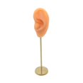 thumbnail image 1 of Earring Display Stand Human Ear Model Stud Decor Earring Display Holder Showcase Jewelry Organizer Left Normal Skin, 1 of 9