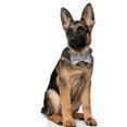 thumbnail image 2 of 35PCS Pet Party Decoration Kit Cute Letter Balloon String Light Pet Bowtie, 2 of 10
