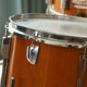 thumbnail image 4 of unbranded Accesorio Drum Lug De Montaje Único En Plata Para Reemplazo De Tambores, 4 of 7