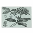 thumbnail image 1 of Floral Vintage Cutting Board, Sketchy Grunge Nostalgic Style Illustration of a Single Flower, Decorative Tempered Glass Cutting and Serving Board, in 3 Sizes, by Ambesonne, 1 of 2
