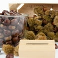 thumbnail image 3 of Chestnut Opening Artifact Home Tools Wine Opener Cross Manual Wood, 3 of 6