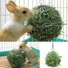 Pet Supplies Hay Manger Food Ball Stainless Steel Plating Grass Rack Ball for Rabbit Guinea Pig Pet Hamster