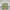 Teenage Mutant Ninja Turtles, variant on Minecraft Kids Graphic Fleece Hoodie, Having a Blast, Sizes 4-18
