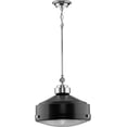 thumbnail image 2 of Progress P500170-031 Loftin - Pendants Light - 1 Light - Round Shade in Farmhouse Style - 14.75 Inches Wide by 13.38 Inches high, Matte Black Finish with Clear Patterned Glass, 2 of 2