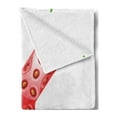 thumbnail image 2 of Letter K Soft Flannel Fleece Throw Blanket, Fresh Food Strawberry Style Capital K Seasonal Refreshment Design, Cozy Plush for Indoor and Outdoor Use, 60" x 80", Vermilion Green Orange, by Ambesonne, 2 of 5