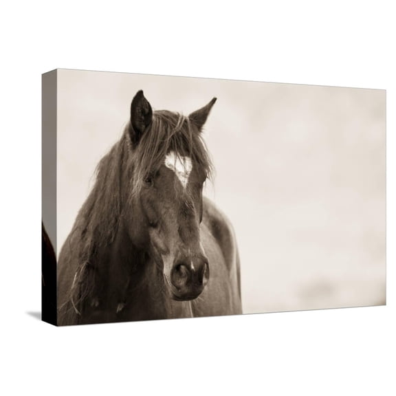 Art.com Wild Hearts Stretched Canvas Print Wall Art by KaCee Erle, 18" x 12"