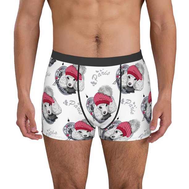 Fotbe Cute Poodle Dog Calzoncillos Tipo Boxer con Bolsa de Soporte Total para Hombre, X-Temp Fresco, Transpirable y de Secado Rápido-Small