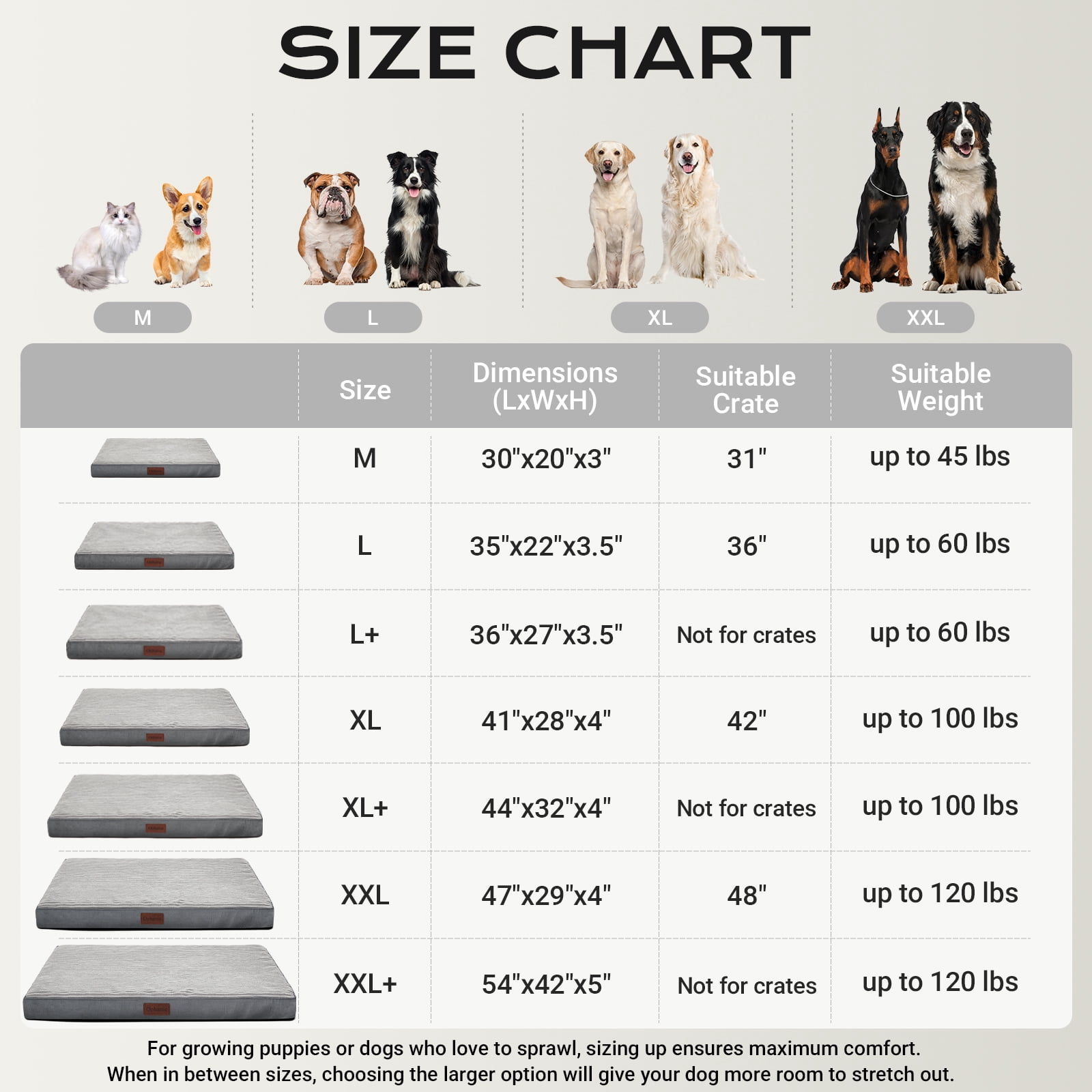 Ophanie Orthopedic Dog Bed for Large Dogs with Removable Washable Cover, Non-Slip Bottom & Waterproof Liner, Suitable for Crates, 35"x22"x3.5", Gray