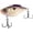 Purple Nurple, variant on Bill Lewis Mini Hammer-Trap Lipless Crankbait Silverado