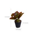 thumbnail image 2 of Maceta con planta artificial para decoración del hogar, oficina Storyland Storyland  7673, 2 of 3