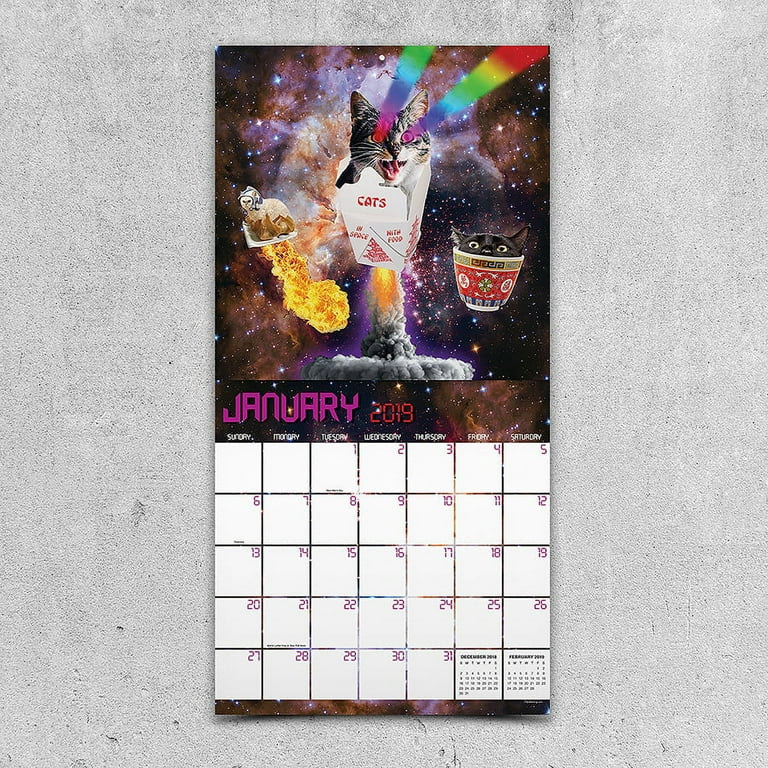2019 Space Cats 12